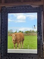 Immaculate 2-bed Cottage in Tuam