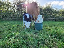 Immaculate 2-bed Cottage in Tuam