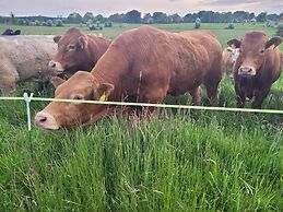 Immaculate 2-bed Cottage in Tuam