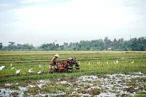 Borobudur Karanganyar House