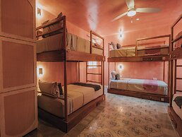 Casa Amate 61 Boutique Hostel