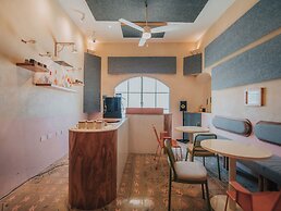 Casa Amate 61 Boutique Hostel