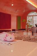 Casa Amate 61 - Mérida Centro