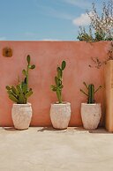 Casa Amate 61 - Mérida Centro