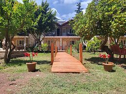 Yedi (7) Boutique Hotel