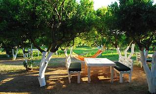 Bodrum Ecohostel