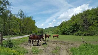 Villa Mille Primavere