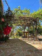 Azzaouia Resort & development