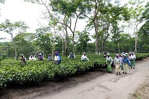 The Baradighi Bungalow - A Heritage Tea Resort