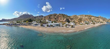 ammos stegna studios