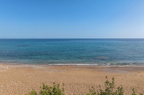 ammos stegna studios