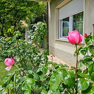 A Casa Di Albi in Desenzano del Garda
