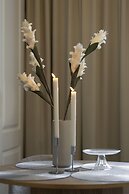 Elite Apartments Aura Old Town