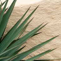 Casa Poseidonia in Agrustos