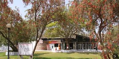 Bird Sanctuary