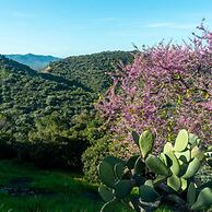 Casa Cedro in Luddui