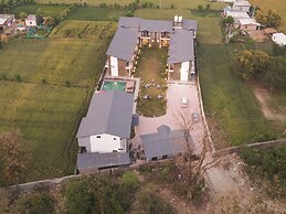 The Forest By 3Tree Group