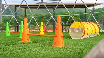 Inje Darani pet Pension