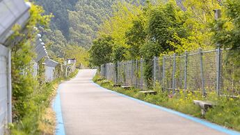 Inje Darani pet Pension