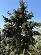 Bungaport Bungalows&Suites