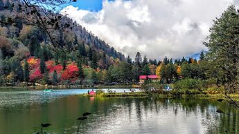 Bungaport Bungalows&Suites