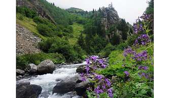 Bungaport Bungalows&Suites