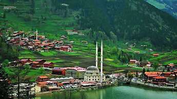 Bungaport Bungalows&Suites