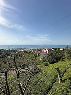 Bungaport Bungalows&Suites