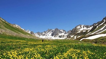 Bungaport Bungalows&Suites