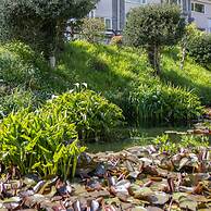 Ty Hapus - Close to Beach and Town