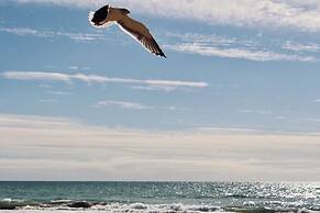 Atlas Wonders Coworking Surf Camp