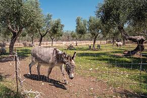 3888 Villetta tra Mari e Monti by Barbarhouse