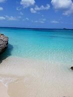Peace vacations rental aruba