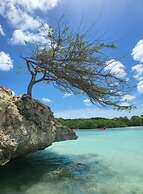 Peace vacations rental aruba