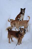 BnB Noto charming tiny house