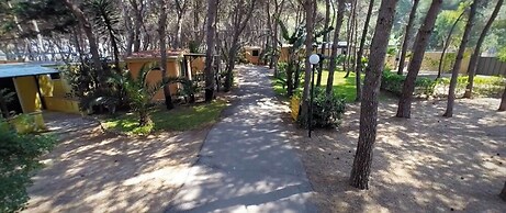 Happy Camp in Camping La Vecchia Torre