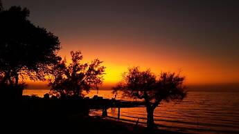 Happy Camp in Camping La Vecchia Torre