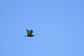 Ice Fishing On-site: Waterfront Nekoosa Home!