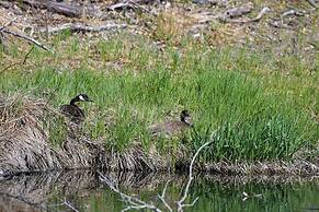 Ice Fishing On-site: Waterfront Nekoosa Home!