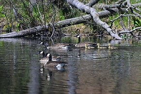 Ice Fishing On-site: Waterfront Nekoosa Home!