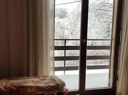 Mountain Pearl Velebit