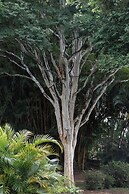 Pousada Canto Verde Cipó