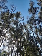 HOTEL RURAL EL VAQUERIL