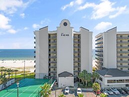 The Palms 504e