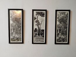 Soben Cafe Guesthouse