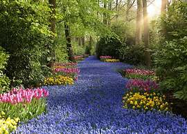 Beautiful House With Large Garden by the sea