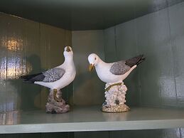 Beautiful House With Large Garden by the sea