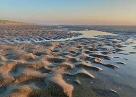Beautiful House With Large Garden by the sea