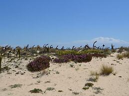 Nice Apartment in Santa Luzia