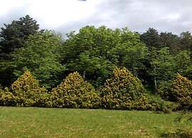 Belvilla by OYO Negritella Trilo Sei